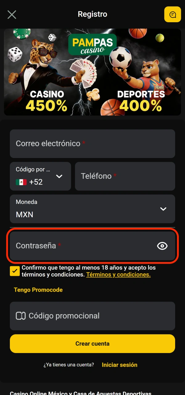 Asegura el acceso personal eligiendo tu clave de registro en Pampas.